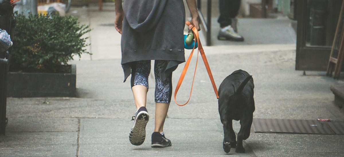 Mulher caminhando com seu cachorro