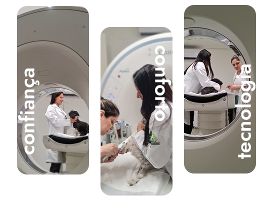 tomografia veterinária