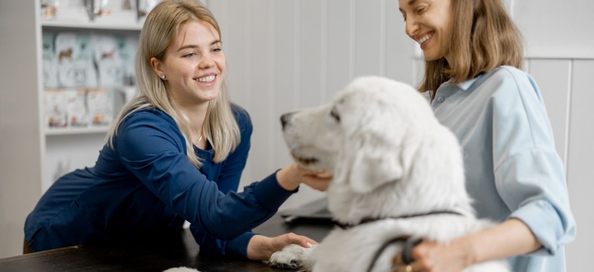 Plano de Saúde para Pets