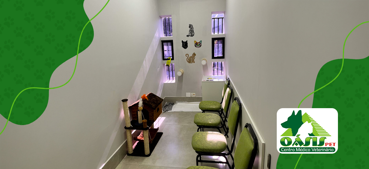 Espaço Cat-Friendly Oásis Pet
