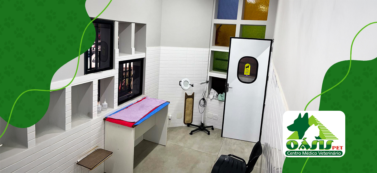 Sala do espaço Cat-Friendly da Oásis Pet