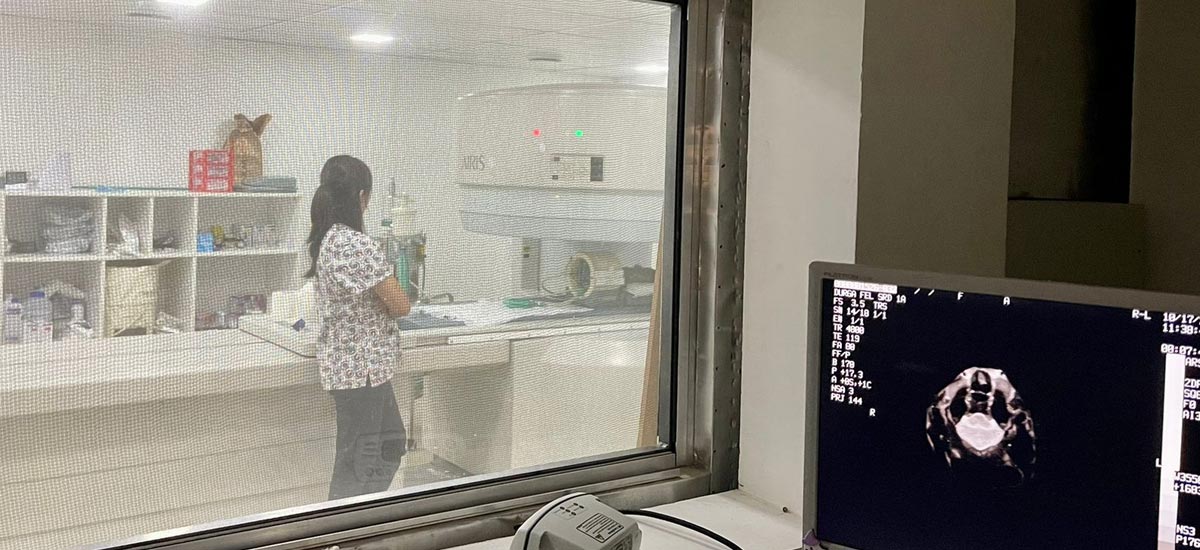 Exames Laboratoriais para Pets e Seus Benefícios Essenciais 2 Ressonancia Magnética - Oasis Pet