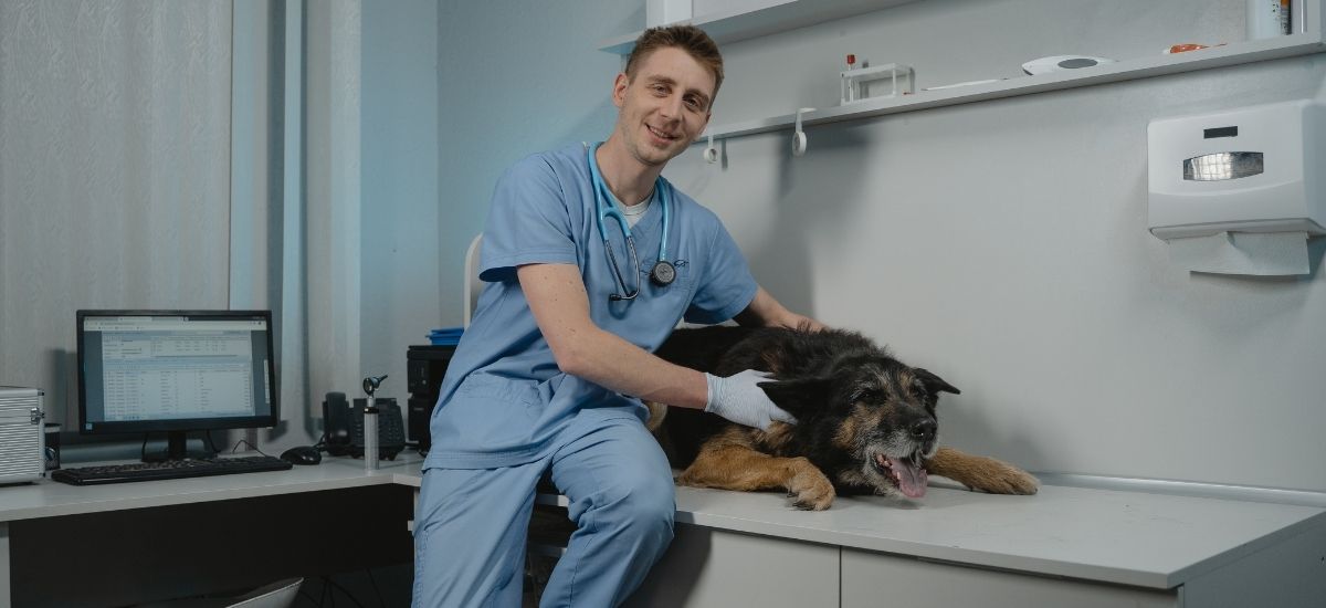 Ultrassom Veterinário: A Tecnologia que Salva Vidas! 3 Médico veterinário posando ao lado de um cachorro em um consultório veterinário