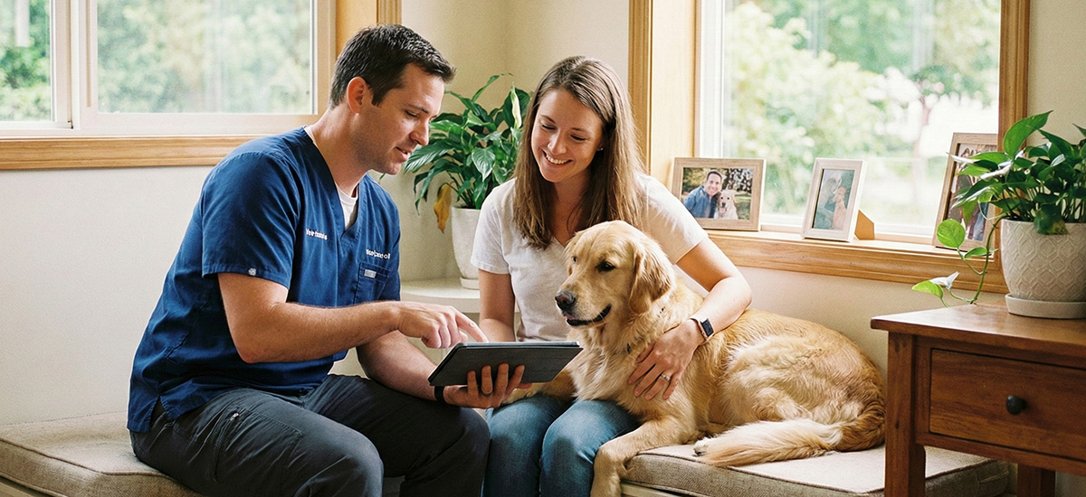 Veterinário orientando a tutora sobre exames pré-cirúrgicos para pet, com cão ao lado em ambiente clínico acolhedor