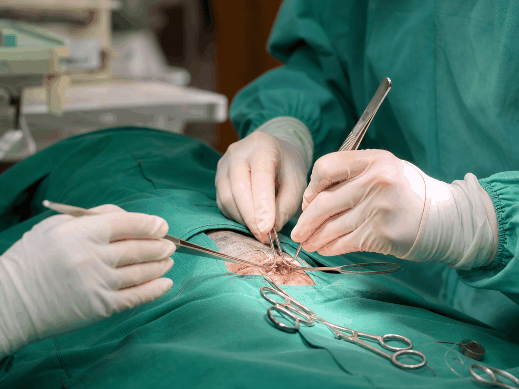 Remoção de Verrugas em Pets: Quando a Cirurgia é Necessária? 1 Procedimento cirúrgico veterinário para remoção de verrugas em pets